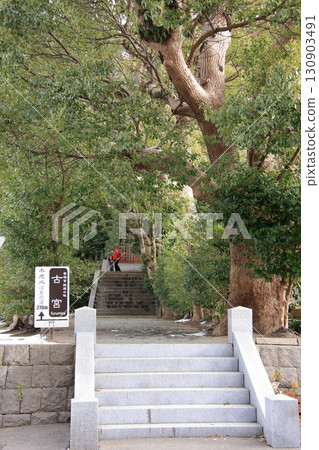 福岡縣神社 香椎神社 長生不老水 130903491