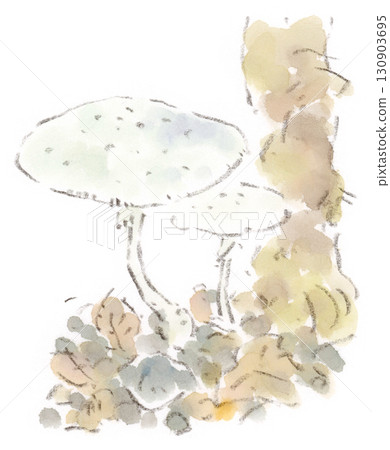 A watercolor illustration of a pure white mushroom (probably a member of the Parasol family) growing on the roadside 130903695