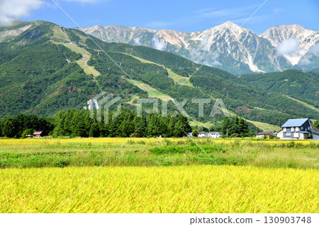 Hakuba Village scenery / Overlooking the Hakuba Happo-one Ski Resort (Hakuba Village, Nagano Prefecture) [September 2025] 130903748