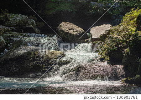 Shiratani Stream, Yakushima Shiratani Unsuikyo Gorge (Winter) 130903761