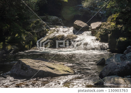 Shiratani Stream, Yakushima Shiratani Unsuikyo Gorge (Winter) 130903763