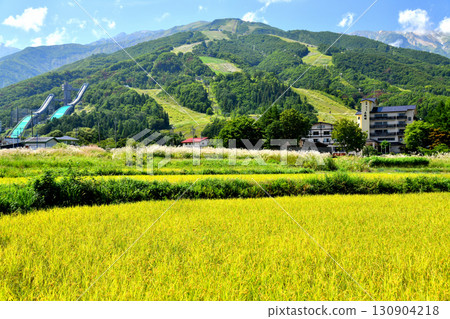 白馬村風景 / 眺望白馬八方尾根滑雪場（長野縣白馬村）[2025年9月] 130904218