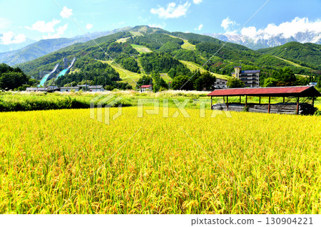 白馬村風景 / 眺望白馬八方尾根滑雪場（長野縣白馬村）[2025年9月] 130904221