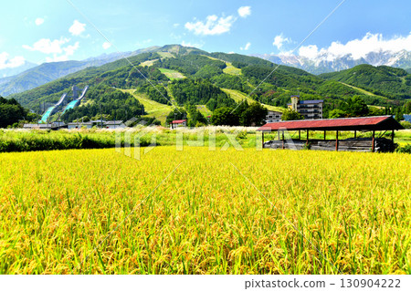 Hakuba Village scenery / Overlooking the Hakuba Happo-one Ski Resort (Hakuba Village, Nagano Prefecture) [September 2025] 130904222