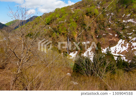 250429 秋山鄉清水河原~由東 250429 秋山鄉清水河原~由東 130904588