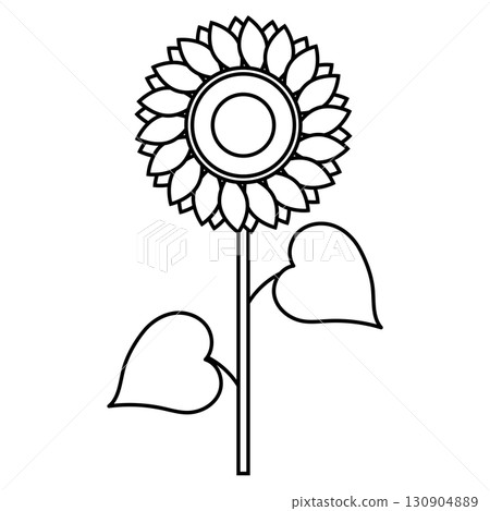 Simple sunflower line drawing illustration Simple sunflower line drawing illustration 130904889
