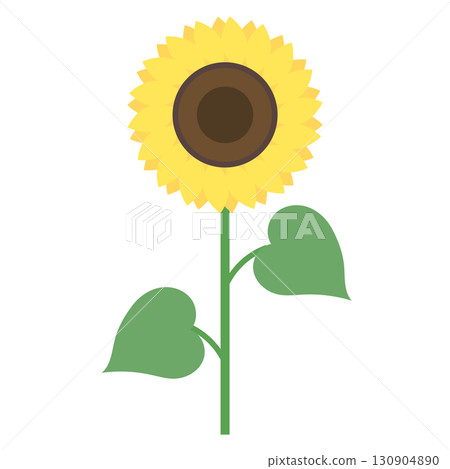 Simple sunflower illustration 130904890