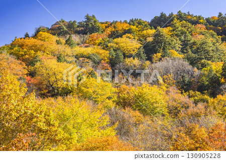 Teruha Gorge is colored by the beautiful autumn colors 130905228