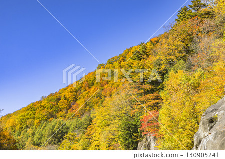 Teruha Gorge is colored by the beautiful autumn colors Teruha Gorge is colored by the beautiful autumn colors 130905241