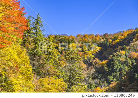 Teruha Gorge is colored by the beautiful autumn colors Teruha Gorge is colored by the beautiful autumn colors 130905249
