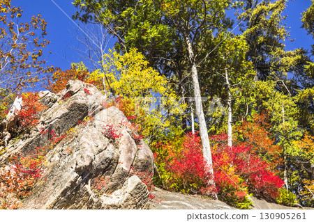 照羽峽被美麗的秋色所籠罩 130905261