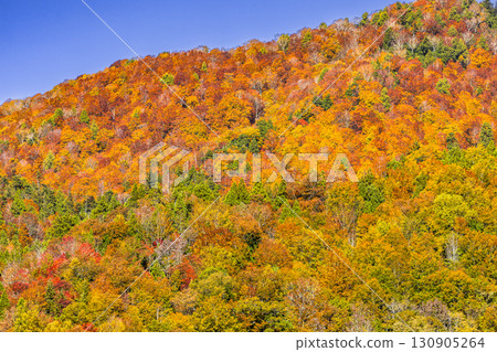 Teruha Gorge is colored by the beautiful autumn colors Teruha Gorge is colored by the beautiful autumn colors 130905264