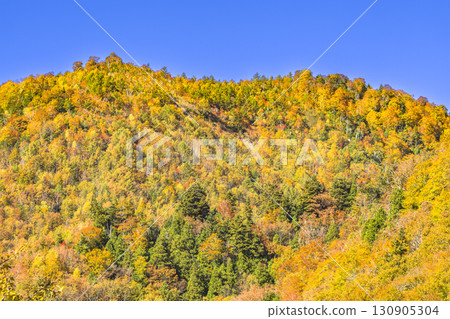 Teruha Gorge is colored by the beautiful autumn colors 130905304