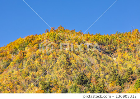 照羽峽被美麗的秋色所籠罩 130905312