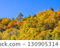 Teruha Gorge is colored by the beautiful autumn colors 130905314