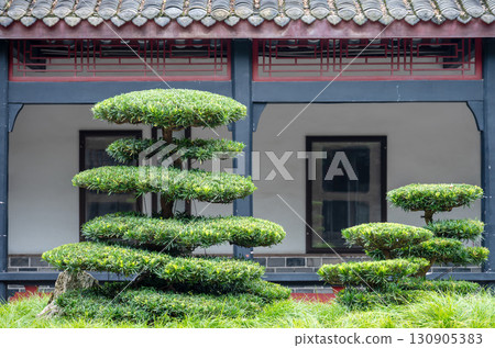 Neatly Pruned Ornamental Trees in Front of Traditional Asian Arc 130905383