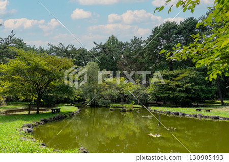 Wind Pine Grove (Akita Prefecture) 130905493