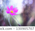 Fantastic cosmos landscape 130905707