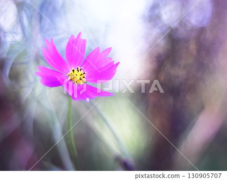 Fantastic cosmos landscape 130905707