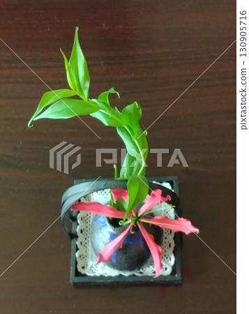 一朵紅色的花，花瓶裡的嘉蘭 130905716