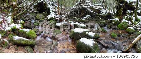 Frigid Stream Shiratani Unsuikyo Gorge, Yakushima National Park (Winter) Frigid Stream Shiratani Unsuikyo Gorge, Yakushima National Park (Winter) 130905750