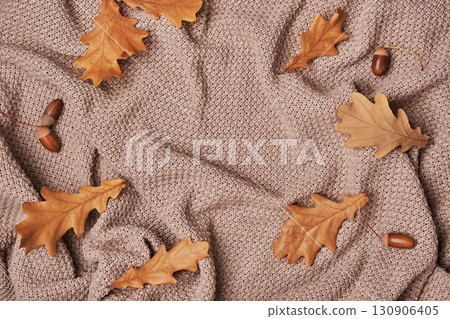 Autumn oak leaves and acorns frame on soft beige blanket, copy space 130906405