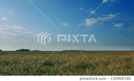 A Beautiful and Expansive Field Sprawls Under a Clear, Bright Blue Sky Full of Dreams A Beautiful and Expansive Field Sprawls Under a Clear, Bright Blue Sky Full of Dreams 130906586