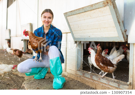 Smiling female farmer caring for domestic chickens in henyard 130907354