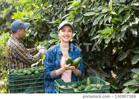 Successful female gardener with ripe avocado in orchard Successful female gardener with ripe avocado in orchard 130907389