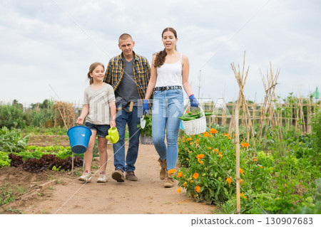 Young family walking home with harvested vegetables Young family walking home with harvested vegetables 130907683