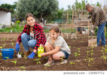 Little girl with family watering planting seedlings Little girl with family watering planting seedlings 130907712