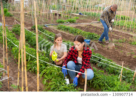 Little girl with family watering planting seedlings 130907714