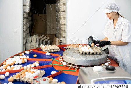 Adult experienced european woman sorting eggs in chicken farm 130907716