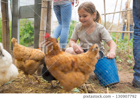 Girl feeding chickens in hen house - helping parents Girl feeding chickens in hen house - helping parents 130907792