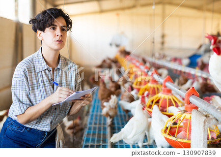 Serious Latin woman farmer taking notes while checking chickenhouse Serious Latin woman farmer taking notes while checking chickenhouse 130907839