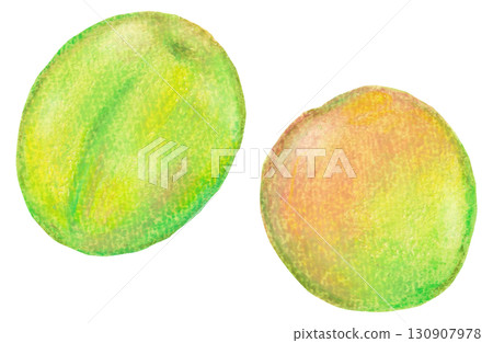 Plum fruit illustration oil pastel drawing 130907978