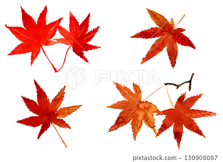 Watercolor hand-drawn autumn leaves. Autumn leaves of maple. Japanese style illustration material 130908087