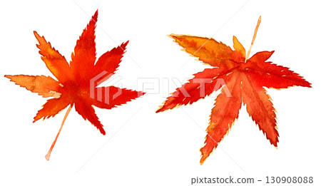 Watercolor hand-drawn autumn leaves. Autumn leaves of maple. Japanese style illustration material Watercolor hand-drawn autumn leaves. Autumn leaves of maple. Japanese style illustration material 130908088