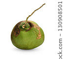 Green coconut Fruit an isolated on white background 130908501