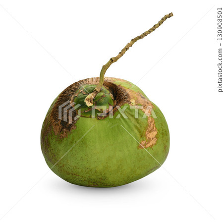 Green coconut Fruit an isolated on white background Green coconut Fruit an isolated on white background 130908501