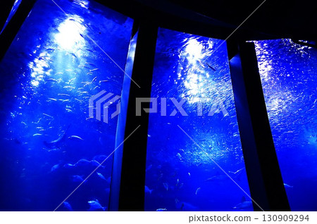 Large aquarium at Hakkeijima Sea Paradise Large aquarium at Hakkeijima Sea Paradise 130909294