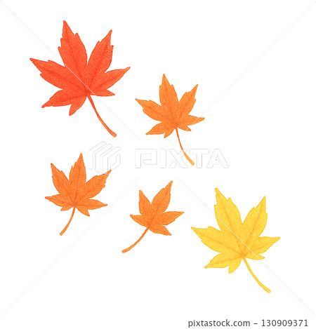 Autumn leaves set: Autumn leaves, ginkgo, dead leaves, PNG cutouts 130909371