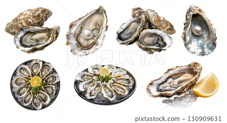 Oyster oysters, salt-water bivalve molluscs shellfish, many angles view side top front plate shucked pile lemon isolated on transparent cutout, PNG file. Mockup template 130909631