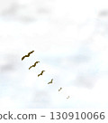 Birds flying in the sky 130910066