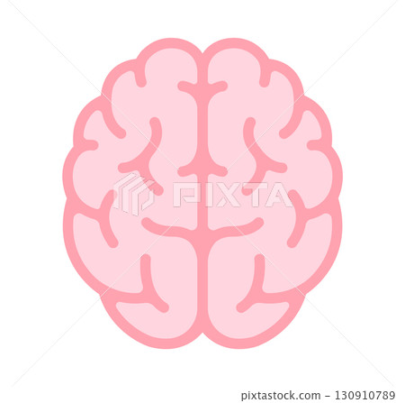 Human brain (from directly above) vector icon illustration Human brain (from directly above) vector icon illustration 130910789