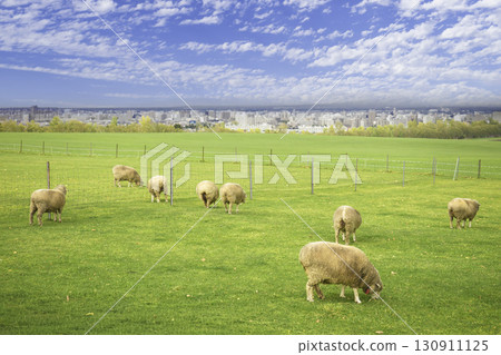 札幌牧羊人山天文台 130911125