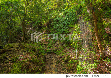 山間健行路線:滋賀縣大津市北小松 山間健行路線:滋賀縣大津市北小松 130911168