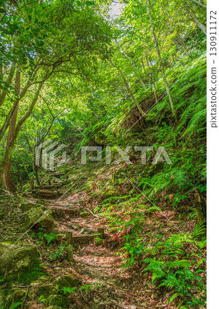 Hiking trail in the mountains: Kitakomatsu, Otsu City, Shiga Prefecture 130911172