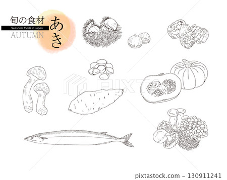 Seasonal ingredients, autumn, line drawing Seasonal ingredients, autumn, line drawing 130911241