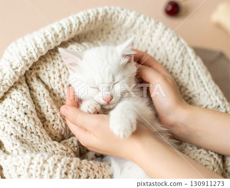 A sleeping white kitten. A feeling of warmth and comfort, a pet, kitten, healing concept. 130911273